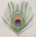 Miniatyrbilde 1 av 2: Xtc - Apple Venus (200 G.) (LP)