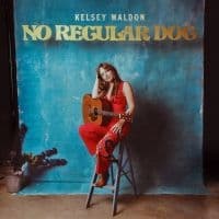 Waldon Kelsey - No Regular Dog (LP)