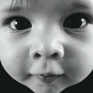 Vanwymeersch Wolf - Early Years (LP)