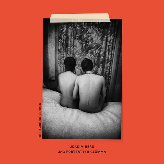 Joakim Berg - Jag Fortsätter Glömma (2Lp) (LP)