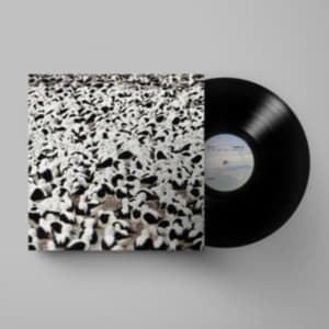 Stella Donnelly - Flood (LP)