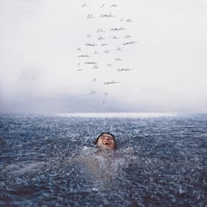 SHAWN MENDES - Wonder - Import (LP)