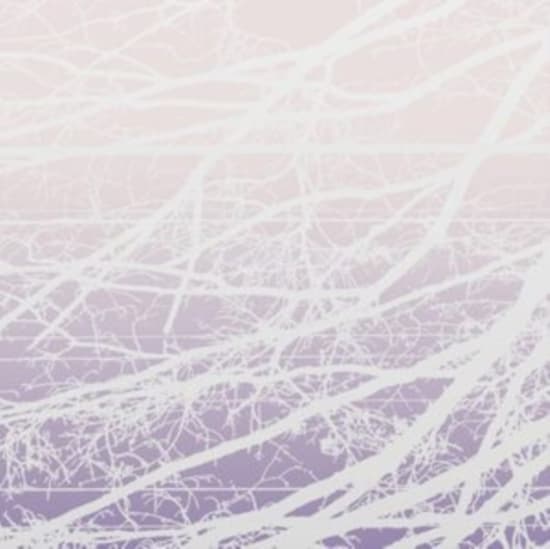 Bertucci Lea - Meta Aether/Resonant Field (LP)