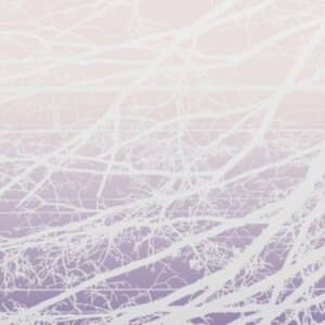 Bertucci Lea - Meta Aether/Resonant Field (LP)