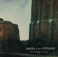 Miniatyrbild 2 av 2: David & The Citizens - For All Happy Endings (Orange) (LP)