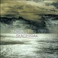 Miniatyrbilde 1 av 2: Tingvall Trio: Skagerrak (Vinyl, LP)