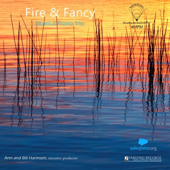 David Lefkowitz Diego Schissi - Fire & Fancy (Vinyl) (LP)