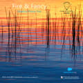 Pikkukuva 2 / 2: David Lefkowitz Diego Schissi - Fire & Fancy (Vinyl) (LP)