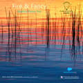 Pikkukuva 1 / 2: David Lefkowitz Diego Schissi - Fire & Fancy (Vinyl) (LP)