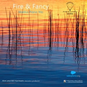 David Lefkowitz Diego Schissi - Fire & Fancy (Vinyl) (LP)
