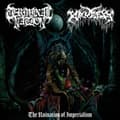 Miniatyrbild 1 av 2: Terminal Nation / Kruelty - Ruination Of Imperialism (LP)