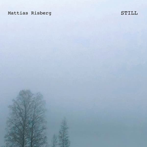 Mattias Risberg: Still (Vinyl, LP)