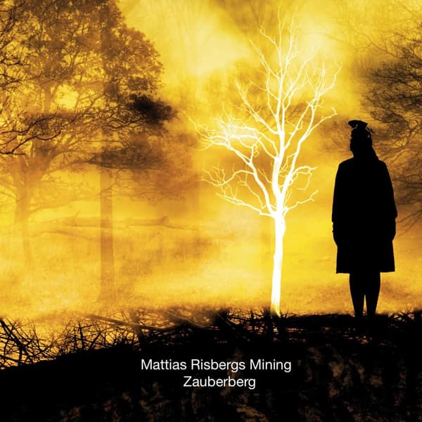 Mattias Risbergs Mining: Zauberberg (Vinyl. LP)