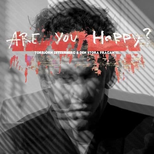 Zetterberg Torbjörn: Are You Happy? (Vinyl, LP)