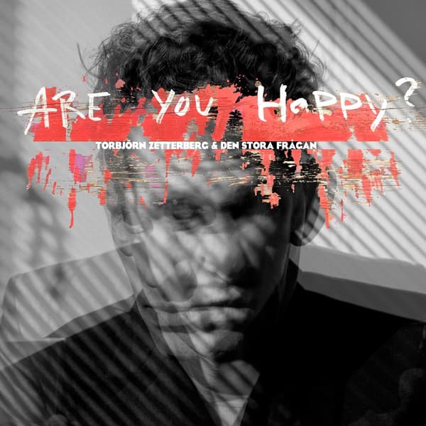 Zetterberg Torbjörn: Are You Happy? (Vinyl, LP)