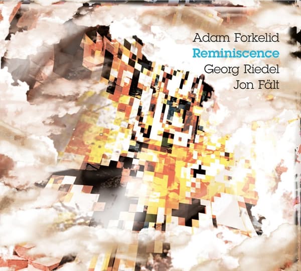 Adam Forkelid/Georg Riedel/Jon Fält: Reminiscence (Vinyl, LP)