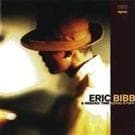 Bibb Eric: Good Stuff (Vinyl, 2LP)