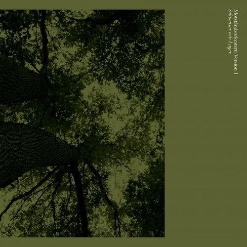 Motståndsorkestern Version 1: Sekvenser Och Lager (Vinyl, EP)