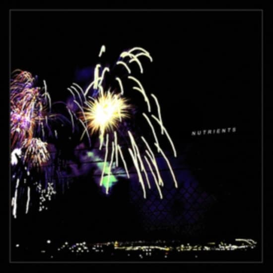 Nutrients - Different Bridges (LP)