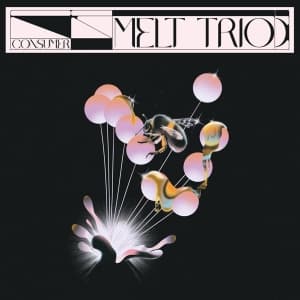 Melt Trio - Consumer (LP)