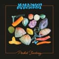 Pikkukuva 1 / 2: Mamalarky - Pocket Fantasy (Indie Exclusive, Fr (LP)