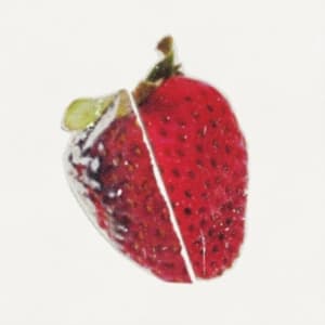 Status/Non-Status - Surely Travel (Indie Only) (LP)