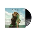 Pikkukuva 2 / 2: First Aid Kit - Palomino (LP)
