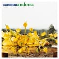 Miniatyrbillede 1 af 2: Caribou - Andorra (15Th Anniversary Edition) (LP)