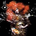 Miniatyrbillede 1 af 2: Bjork - Biophilia (LP)