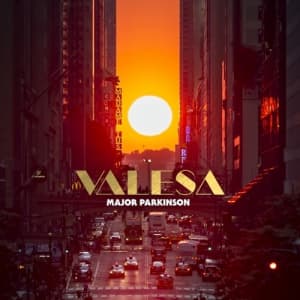 Major Parkinson - Valesa (Orange) (LP)
