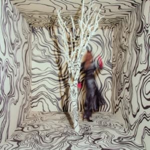 Madison Cunningham - Revealer (LP)