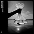Miniatyrbillede 1 af 2: Nils Frahm - Music For Animals (LP)
