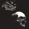 Miniatyrbillede 1 af 2: Osees - A Foul Form (LP)
