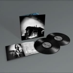 Set Fire To Flames - Sings Reign Rebuilder - 2Oth Ann. E (LP)