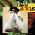 Pikkukuva 1 / 2: Greensleeves Ganja Anthems - Various Artists (Green)-Rsd22 (LP)