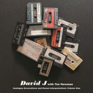 David J With Tim Newman - Analogue Excavations & Dream... Vol (LP)