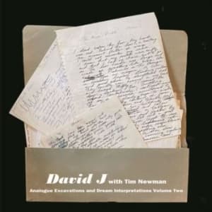 David J With Tim Newman - Analogue Excavations & Dream... Vol (LP)