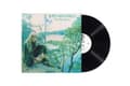 Pikkukuva 1 / 2: Joni Mitchell - For The Roses (LP)