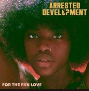 Arrested Development - For The Fkn Love (LP)