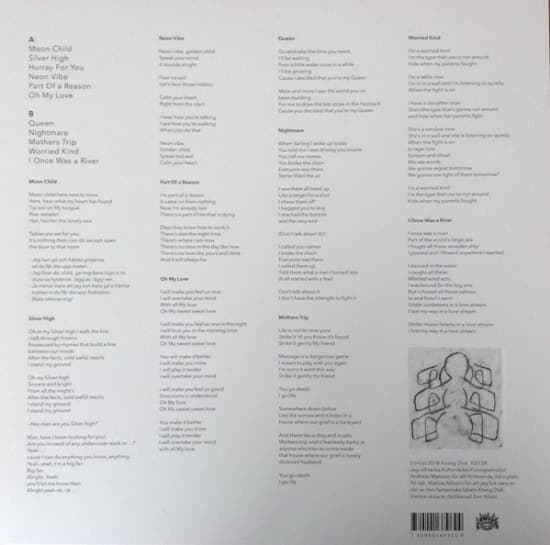 Nicolai Dunger - Raison D'etre (LP)