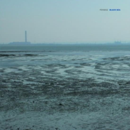 Fennesz - Black Sea (LP)