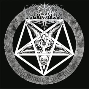 Necrophobic - Spawned By Evil (Re-Issue 2022) (LP)