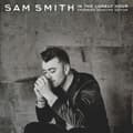 Miniatyrbillede 1 af 2: Sam Smith - In The Lonely Hour (2Lp Drowning Sh (LP)