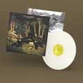 Miniatyrbillede 1 af 2: Echo & The Bunnymen - Evergreen (White LP) 25 Year Anniversary Edition (LP)