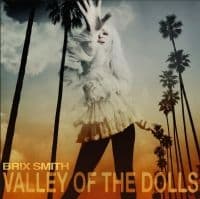 Smith Brix - Valley Of The Dolls (LP)