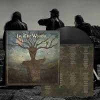 In The Woods... - Diversum (Vinyl Lp) (LP)