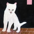 Miniatyrbillede 1 af 2: Duster - Duster (Ltd Chocolate Color Vinyl) (LP)