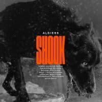 Algiers - Shook (LP)