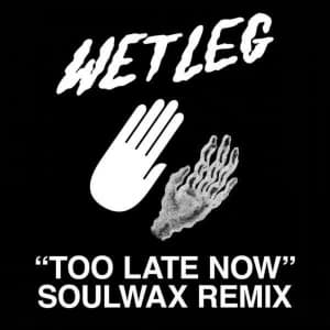 Wet Leg - Too Late Now (Soulwax Remix) (Maxisingle)