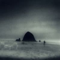 Drowse - Wane Into It (LP)